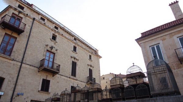 Les meilleures solutions de dépigeonnage à Marseille